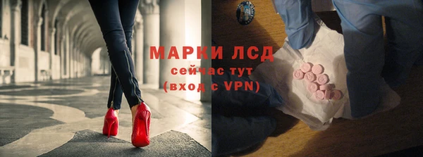 сатива Абинск