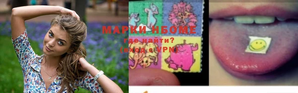 сатива Абинск