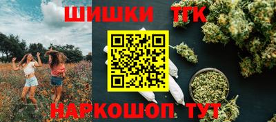 индика Комсомольск-на-Амуре