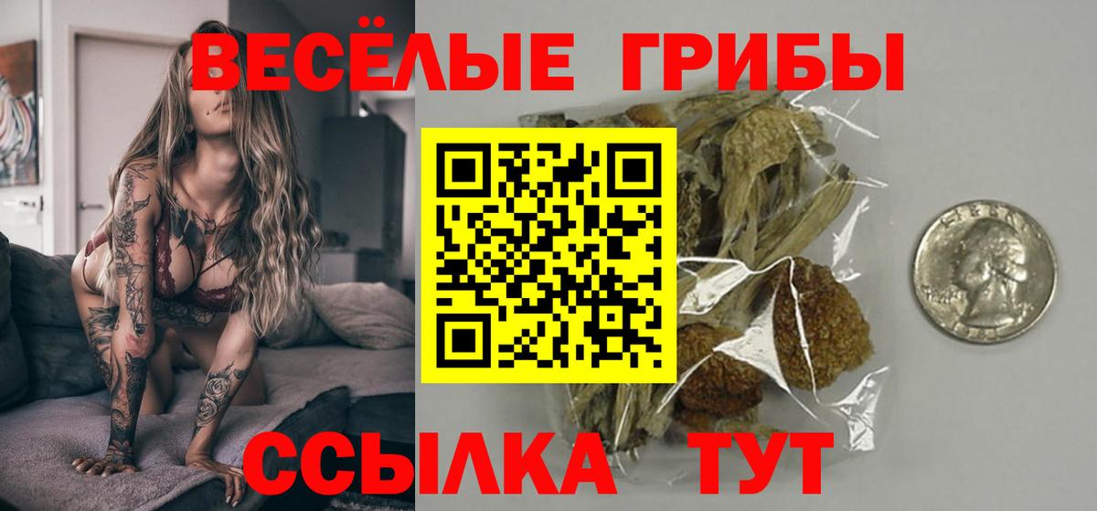 Киров  Псилоцибиновые грибы Psilocybe  Вход с VPN  Псилоцибиновые грибы MAGIC MUSHROOMS 